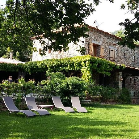 Pioggiola A Muvrella B&B 외부 사진