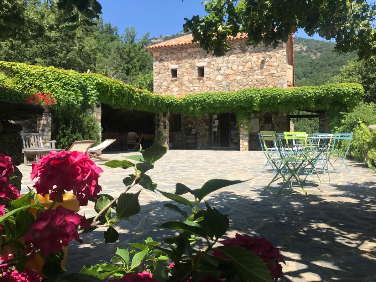Pioggiola A Muvrella B&B 외부 사진
