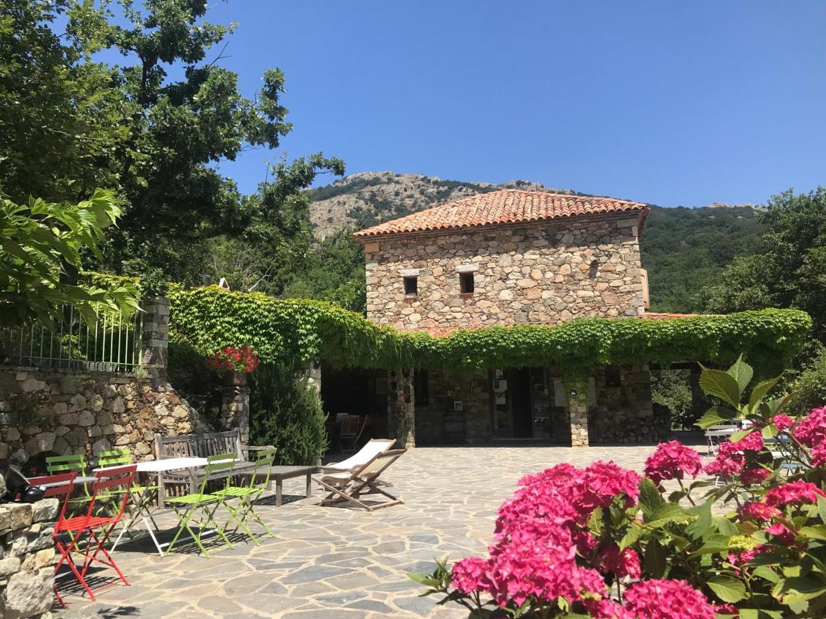 Pioggiola A Muvrella B&B 외부 사진