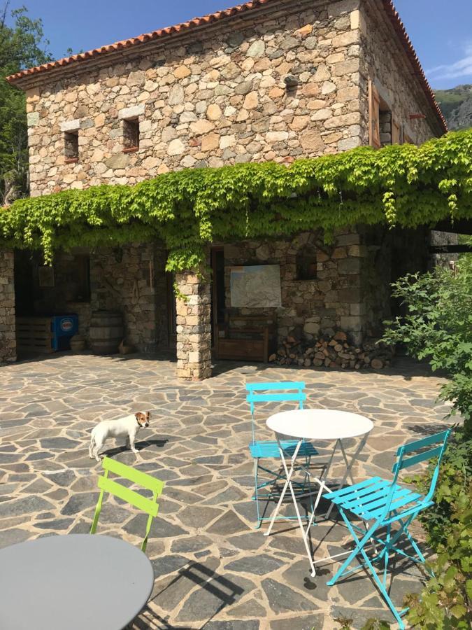 Pioggiola A Muvrella B&B 외부 사진