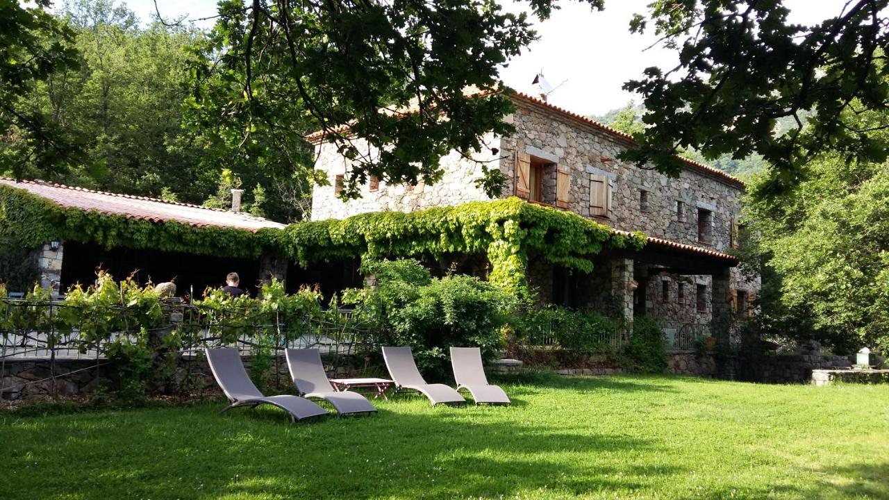 Pioggiola A Muvrella B&B 외부 사진