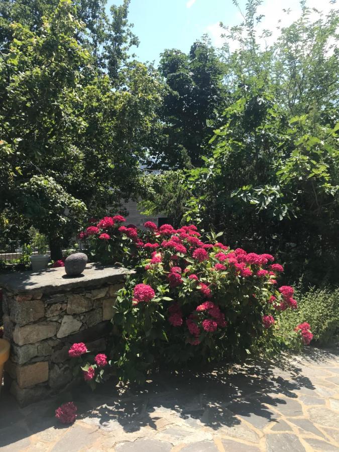 Pioggiola A Muvrella B&B 외부 사진