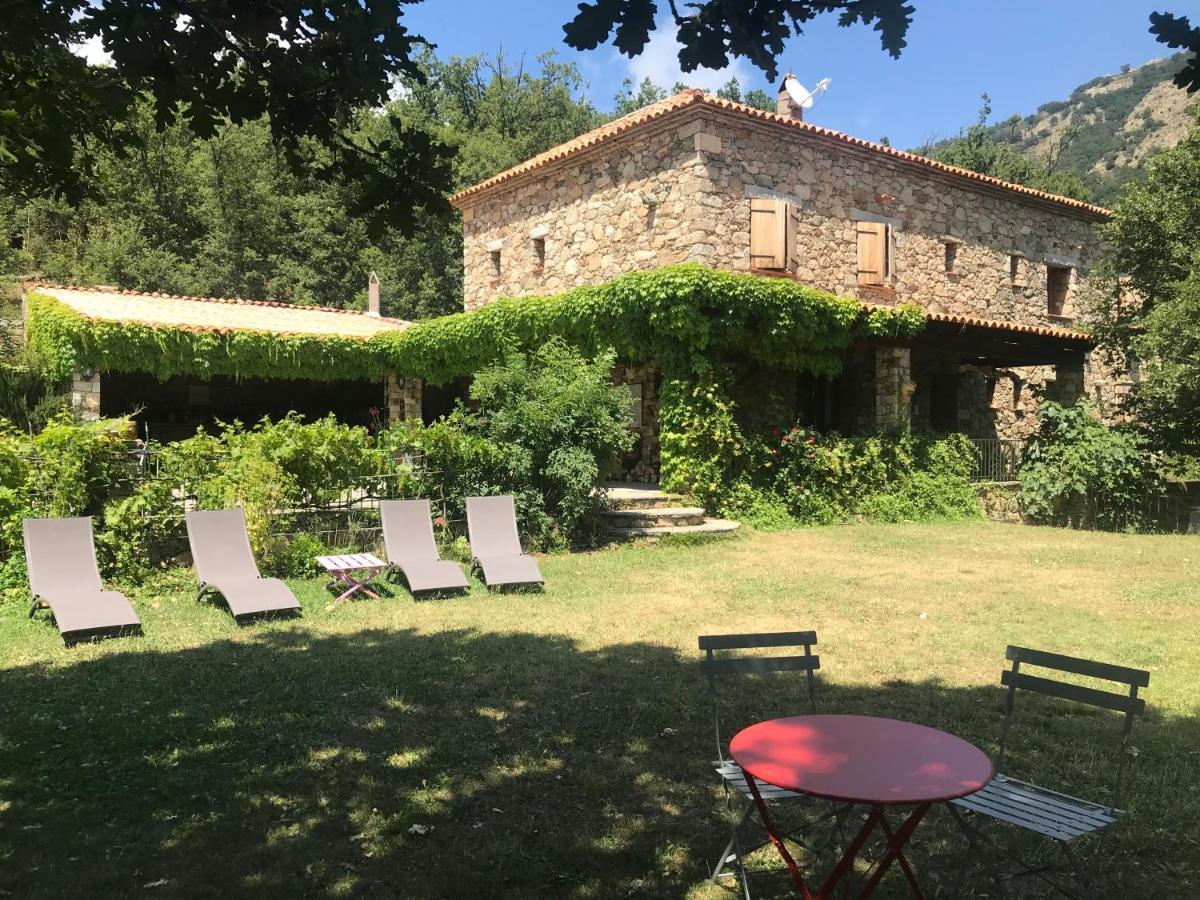 Pioggiola A Muvrella B&B 외부 사진