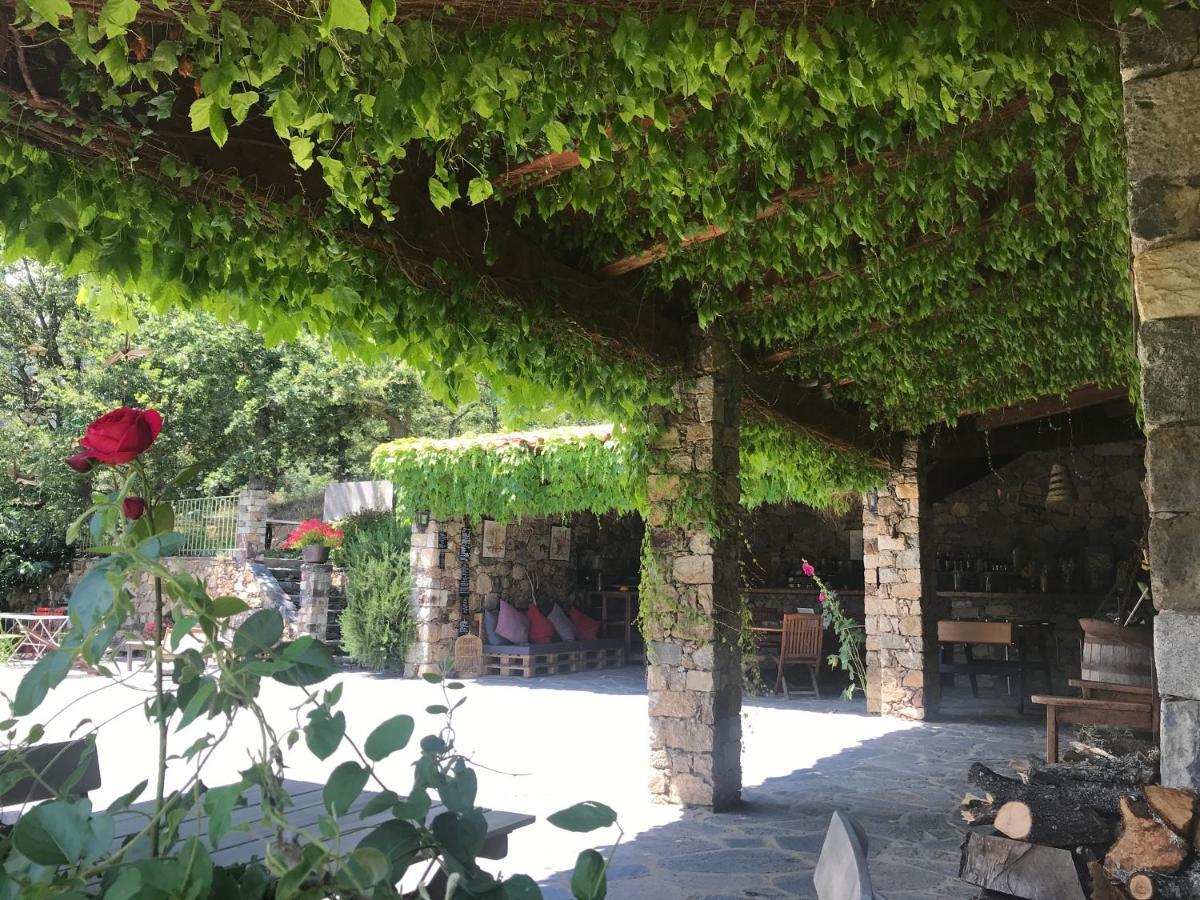 Pioggiola A Muvrella B&B 외부 사진