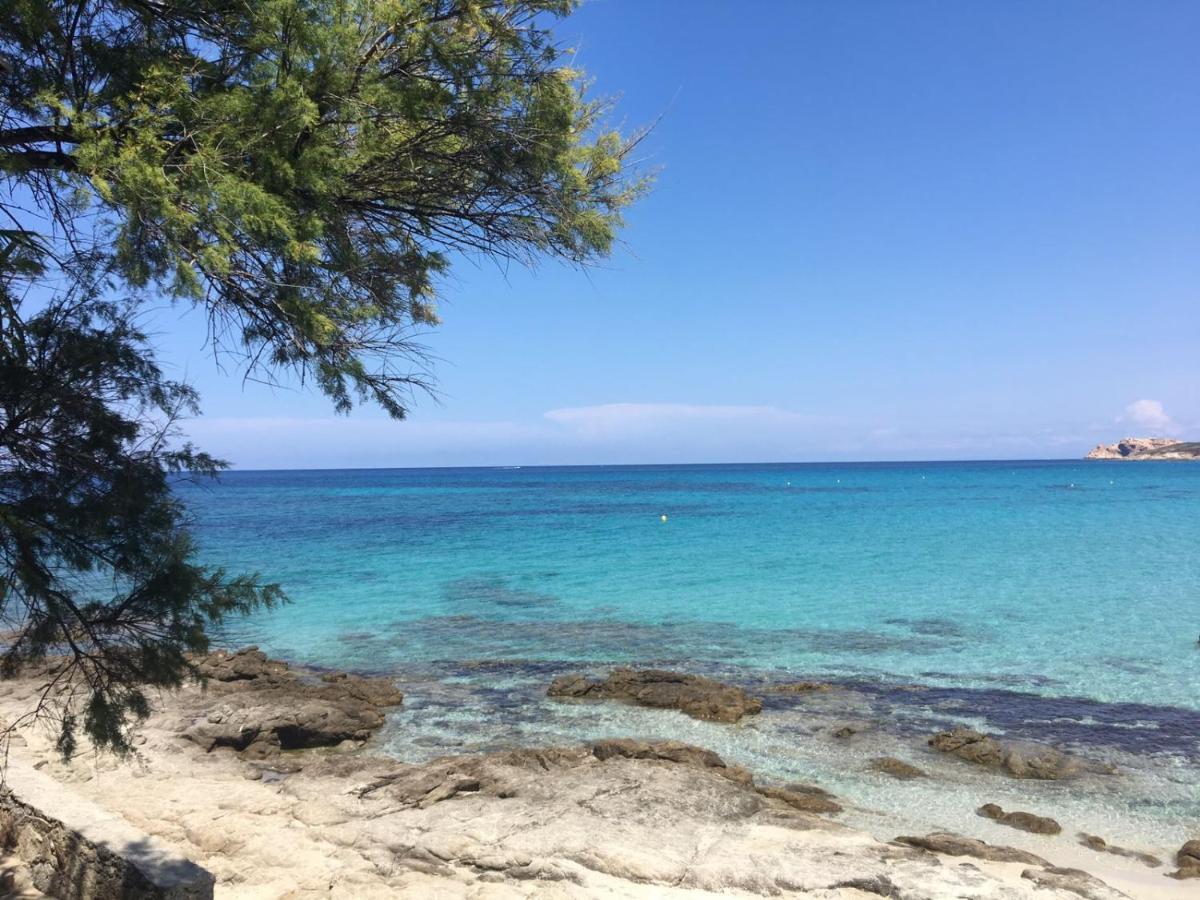 Pioggiola A Muvrella B&B 외부 사진