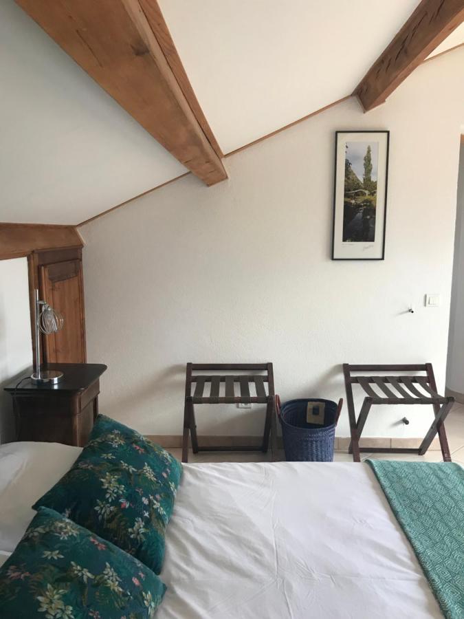 Pioggiola A Muvrella B&B 외부 사진
