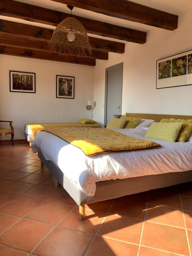 Pioggiola A Muvrella B&B 외부 사진