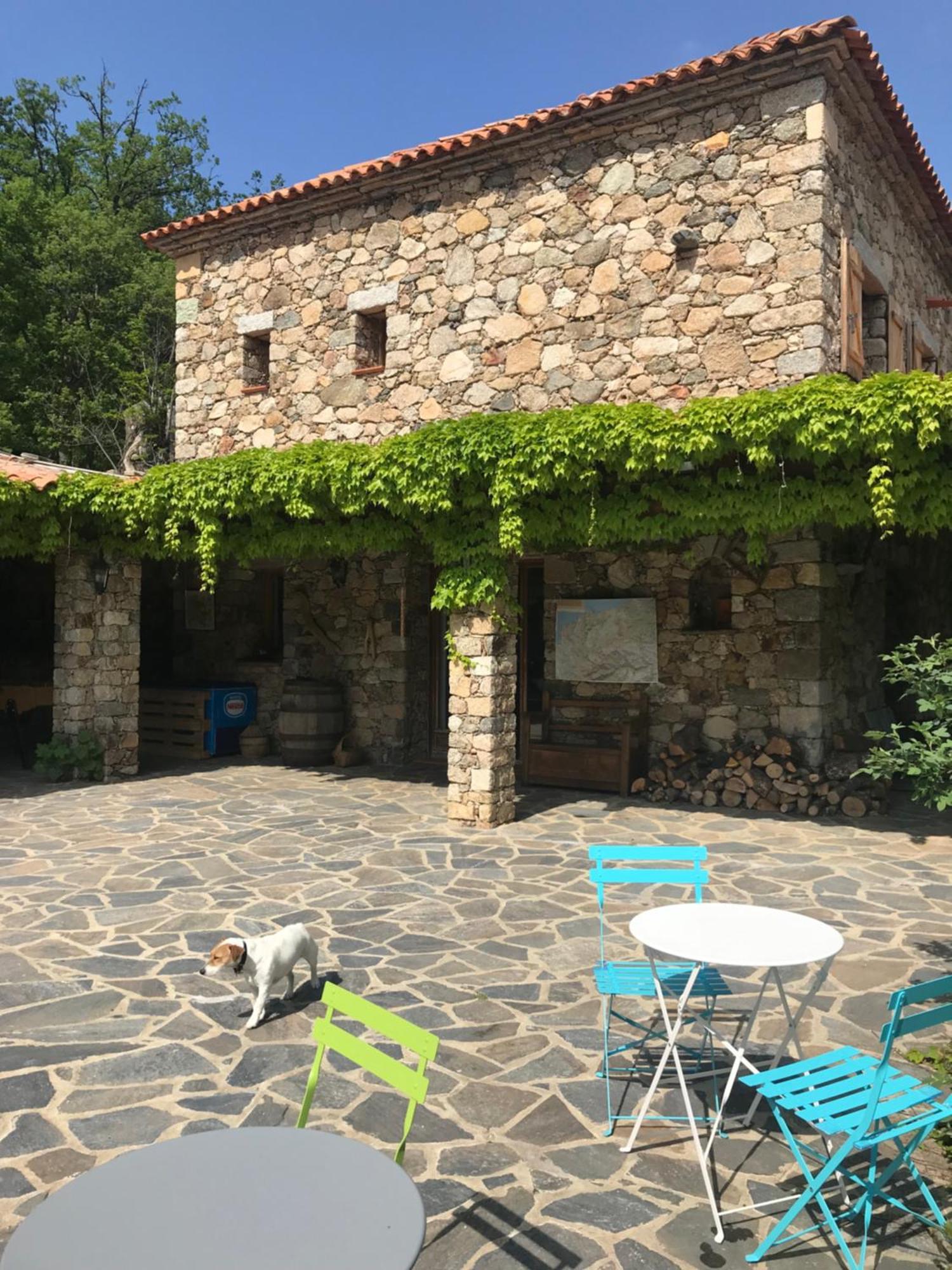 Pioggiola A Muvrella B&B 외부 사진